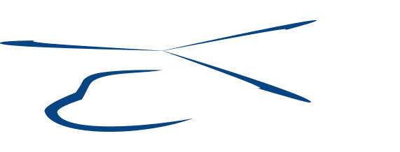 Wysong Enterprises Logo
